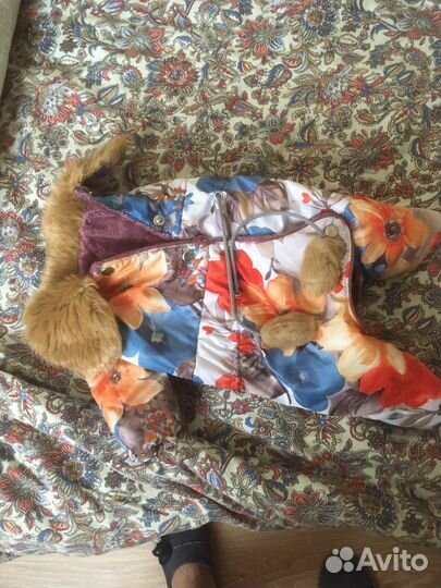 Комбинезон для маленькой собачки зима