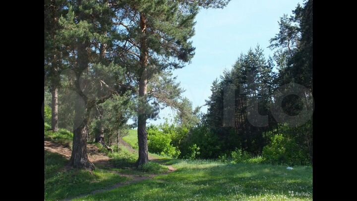 Участок 10 сот. (ИЖС)