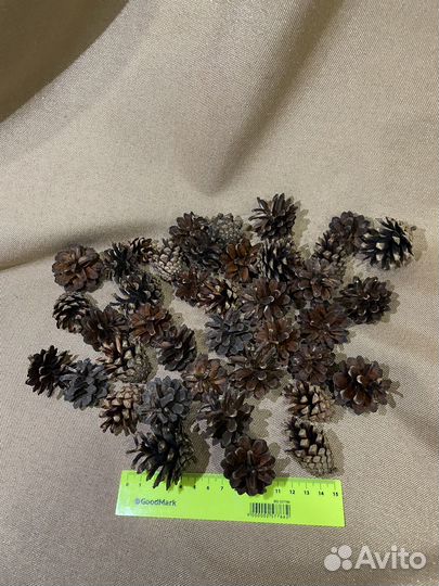 Сосновые шишки декора