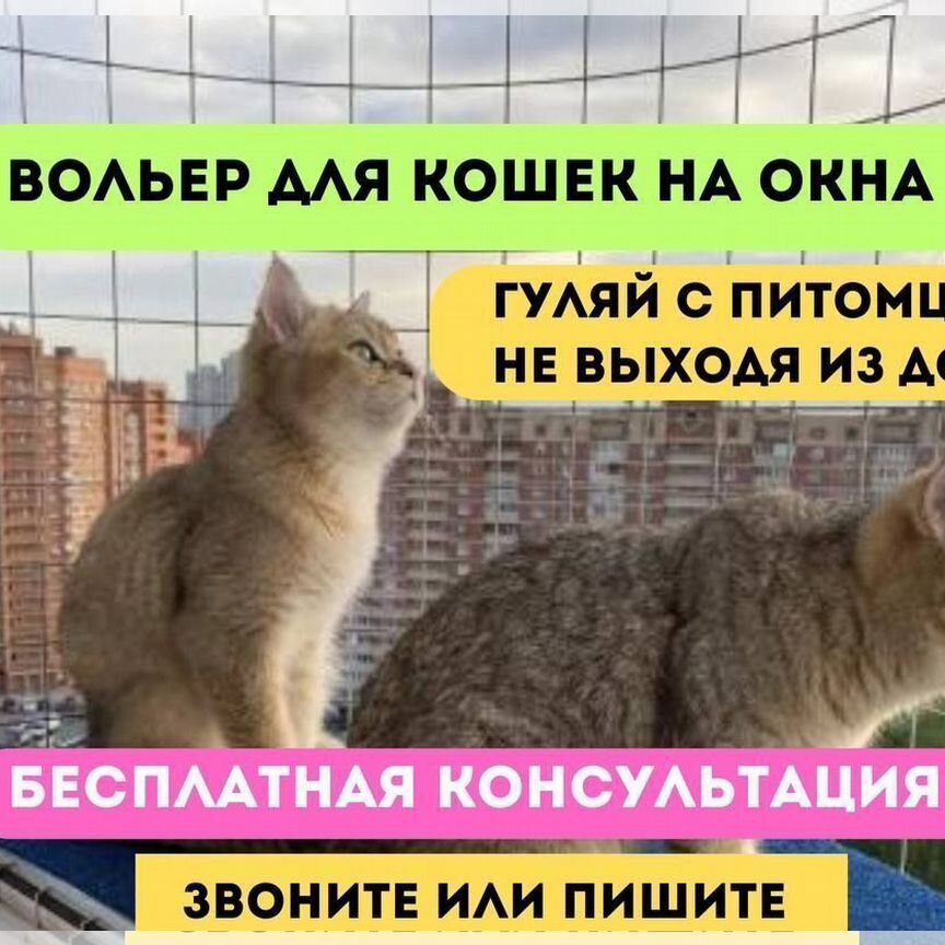 Балкончик для выгула кошки