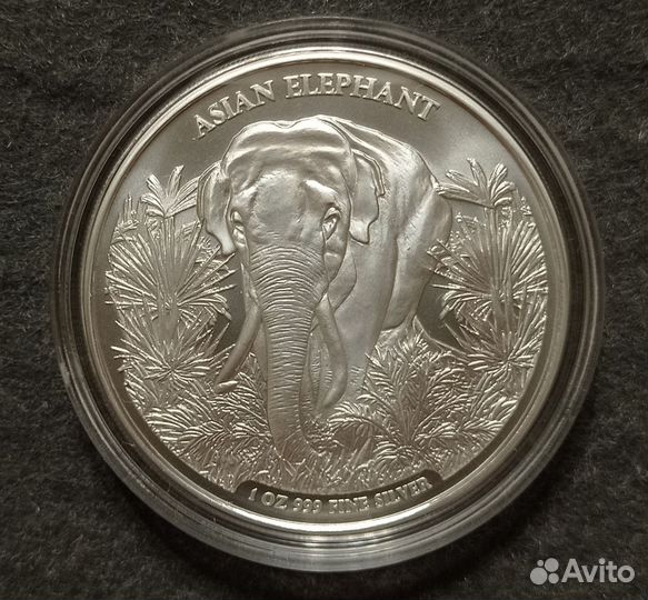 Монета Камбоджа 2023 Азиатский слон Серебро