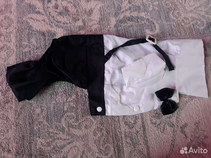 Одежда для собак йорк