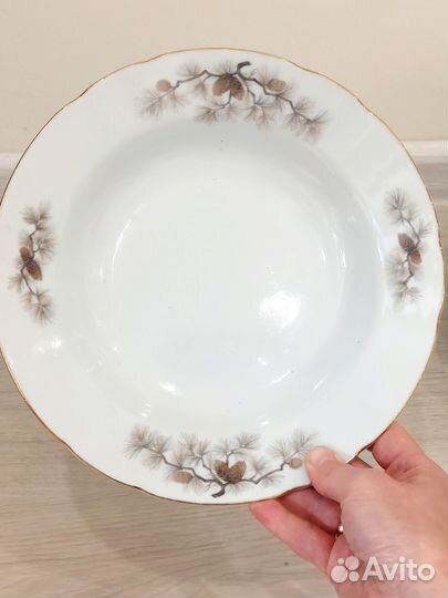 Тарелки СССР. Япония шишки