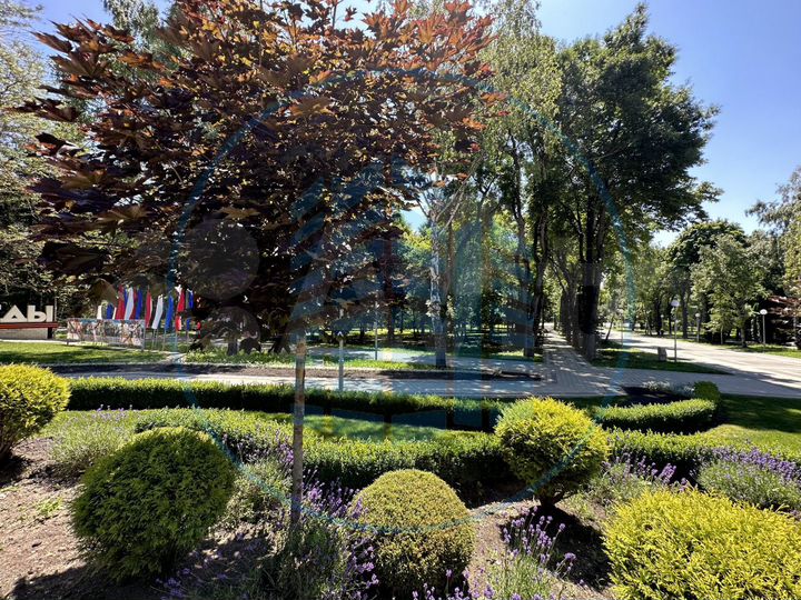 Таунхаус 212,8 м² на участке 1,5 сот.