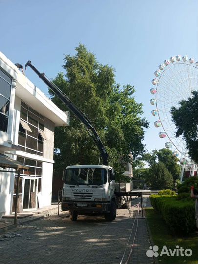 Манипулятор