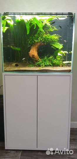 Аквариум 150л с тумбой, свет, внешний фильтр