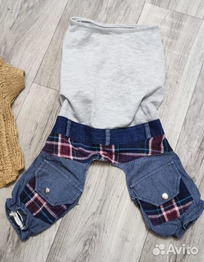 Одежда для собаки