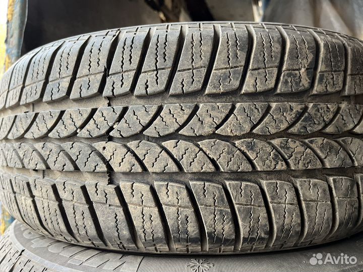 Tigar Winter 1 205/55 R16 94H