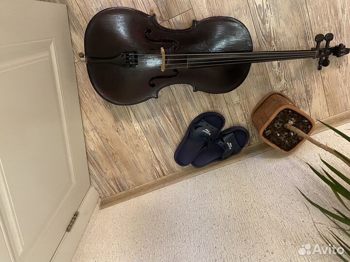 Скрипки, пюпитер