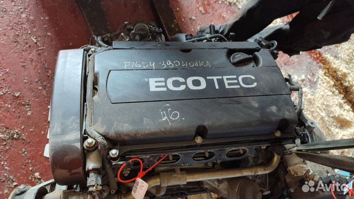Двигатель Chevrolet 1.6 И F16D4 (б/у)
