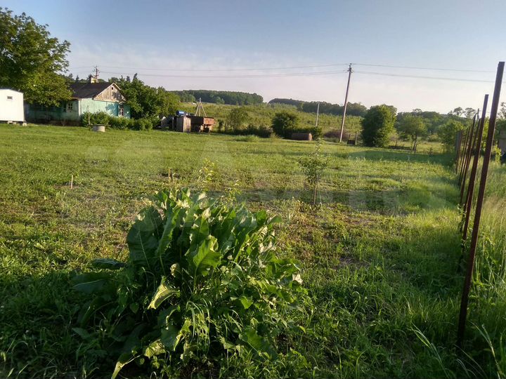 Участок 24,6 сот. (ИЖС)