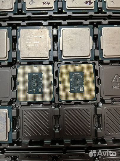 Процессоры intel xeon e3-1220v5