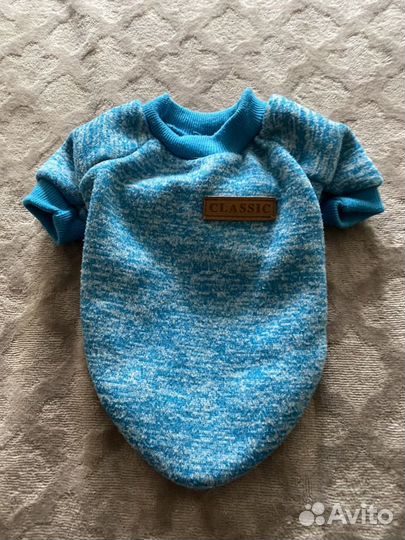 Одежда для собак мелких пород