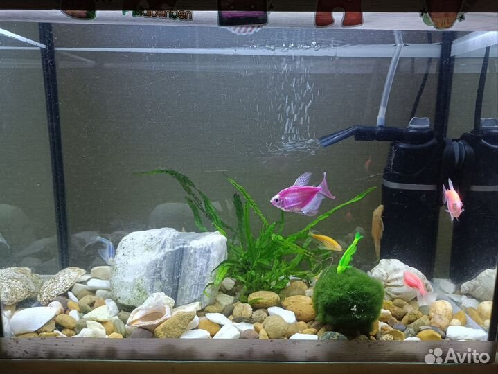 Аквариум 15 литров