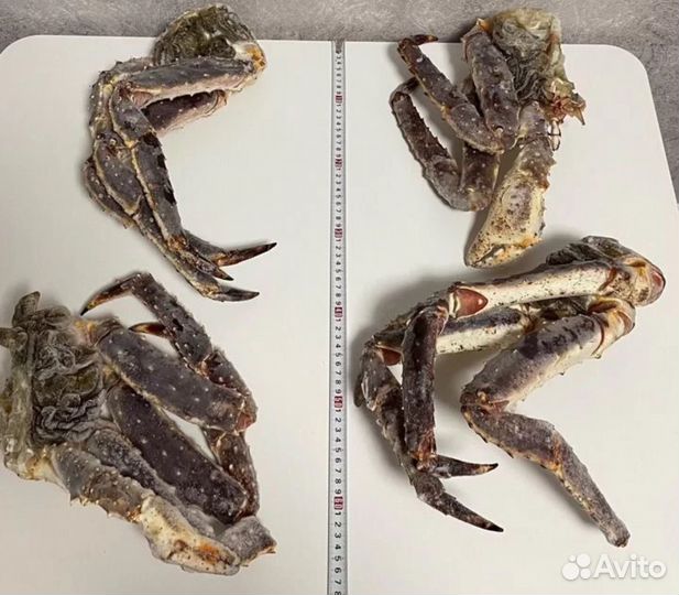 Морепродукты Севера