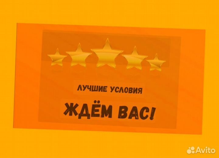 Наборщик заказов Без опыта Еженедельные выплаты