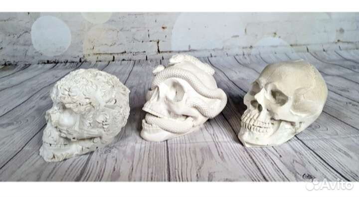 Черепа из гипса