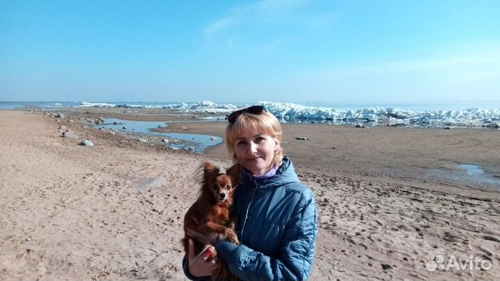 Передержка собак мелких пород