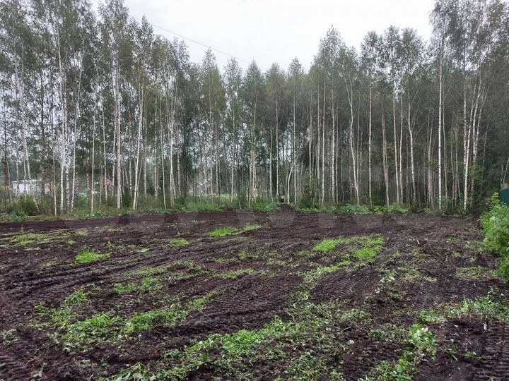 Участок 10 сот. (СНТ, ДНП)