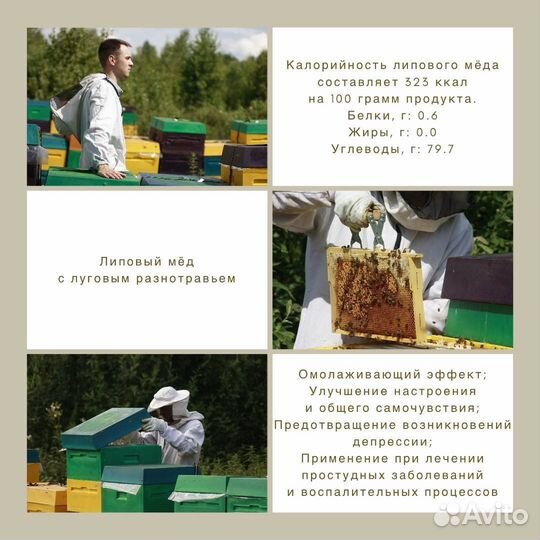 Липовый мед 2023