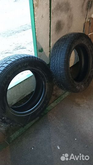Toyo Winter Tranpath M2 225/65 R17