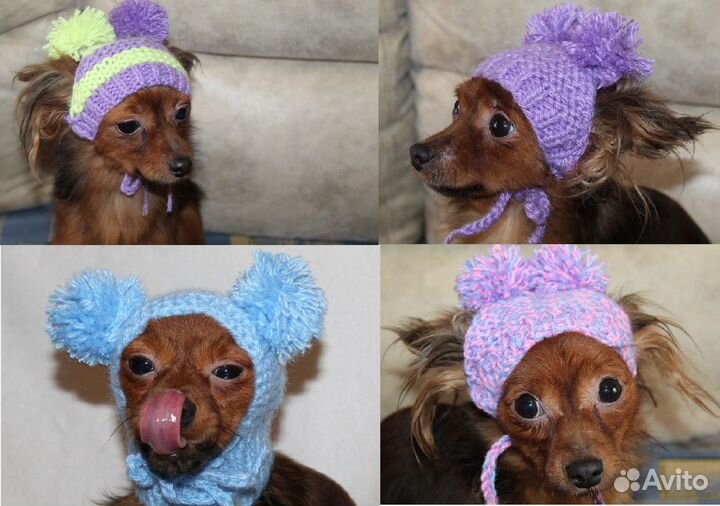 Шапки для собак