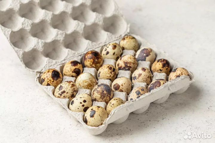 Яйца перепелиные техас