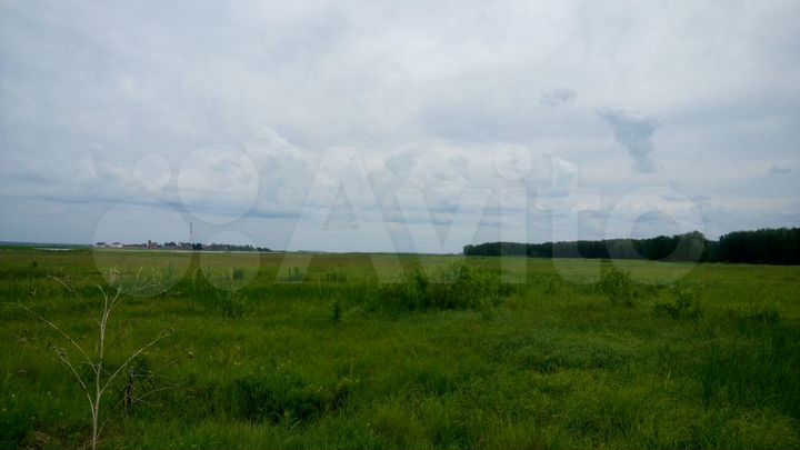 Участок 100 сот. (СНТ, ДНП)