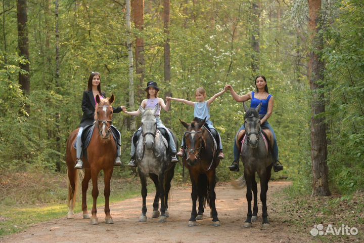 Конные прогулки