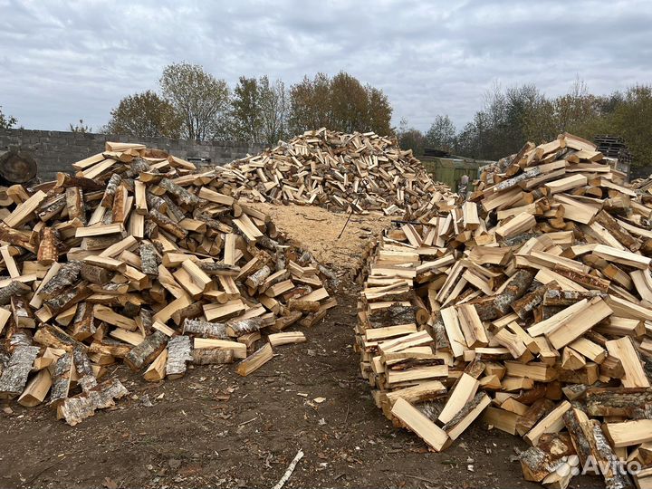 Дрова колотые береза