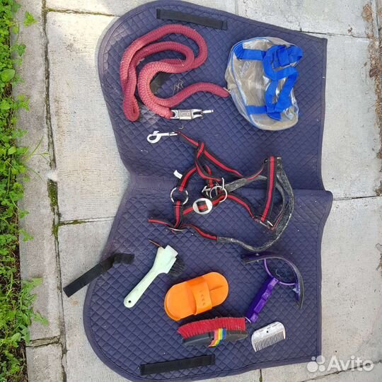 Недоуздок, щётка, скребок, вольтрап