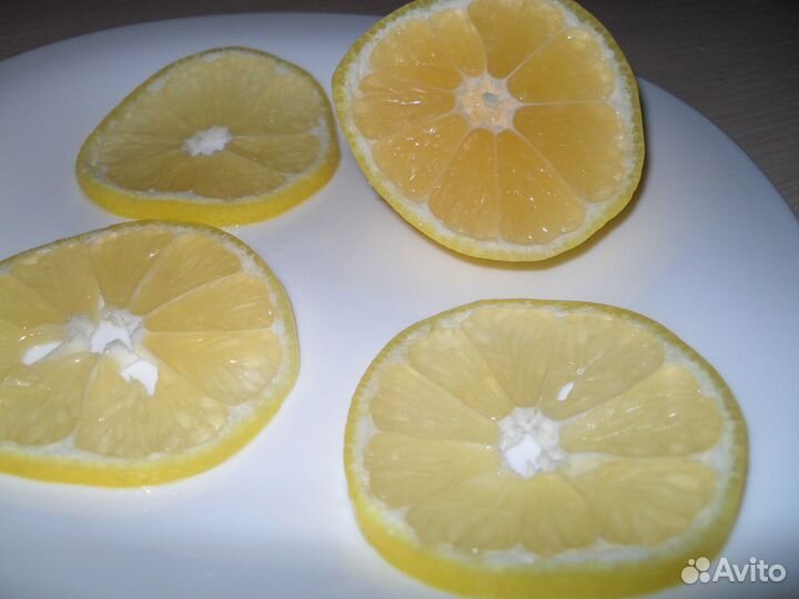 Отростки азиатского лимона