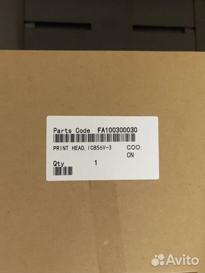 Epson print head FA10030