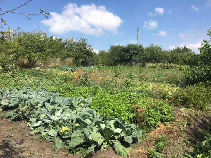 Участок 10 сот. (СНТ, ДНП)