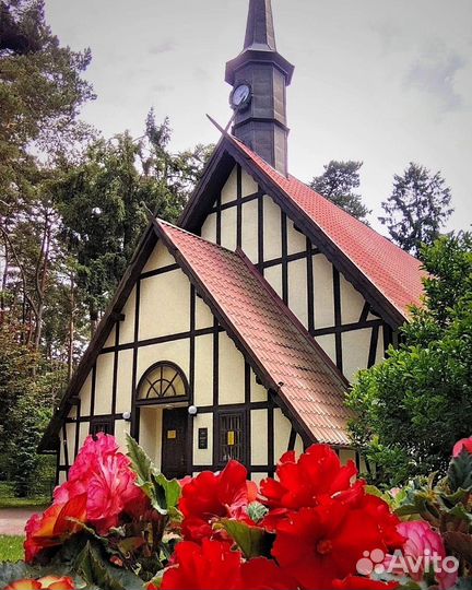 Экскурсии Светлогорск, Янтарный, Балтийск за день