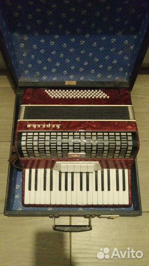 Аккордеон Березка