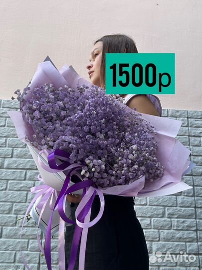 Радужная гипсофила