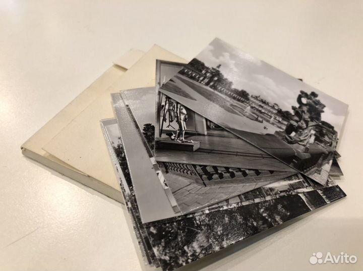 12 euchre fotos zwinger Dresden