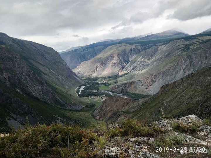 Едем по Алтаю