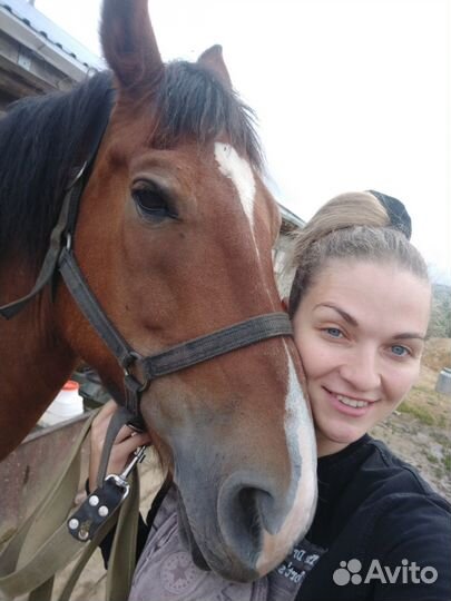 Ветеринарный врач на дом