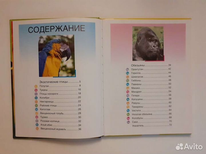 Детская энциклопедия 