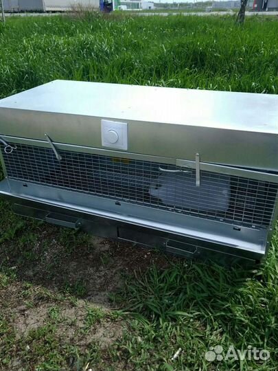 Брудер для цыплят