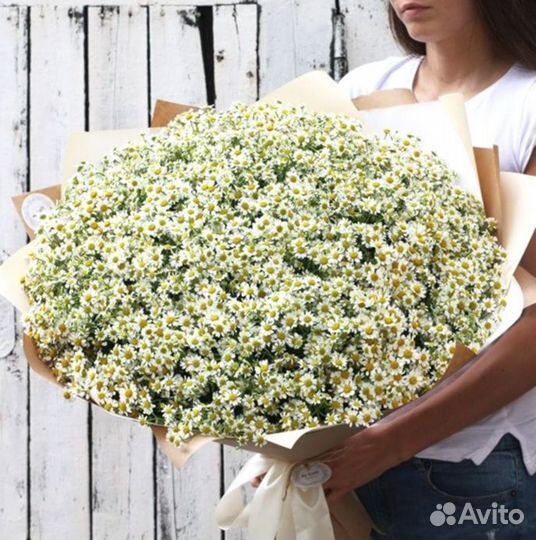 Матрикария