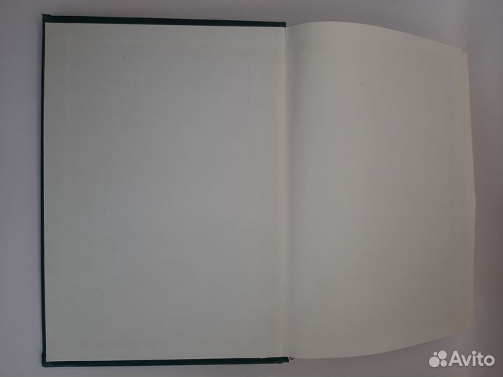 Генрих Манн, 