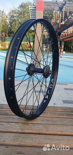 Eclat camber & wtp supreme