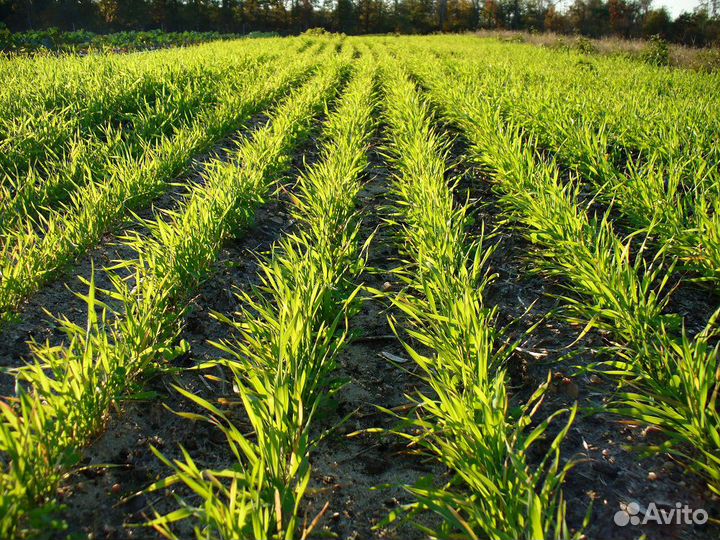 Каток Агромаш КЗК-9,2, 2023