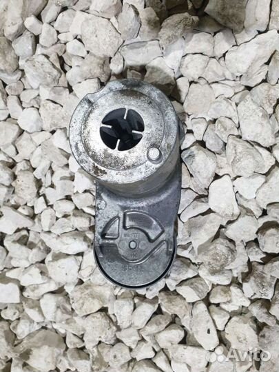 Натяжитель ремня Volkswagen Passat B5+