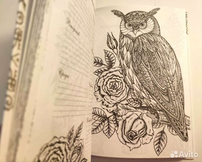 Раскраска антистресс