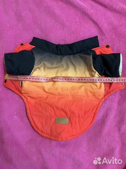 Одежда для собак