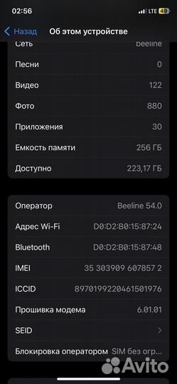 iPhone X, 256 ГБ
